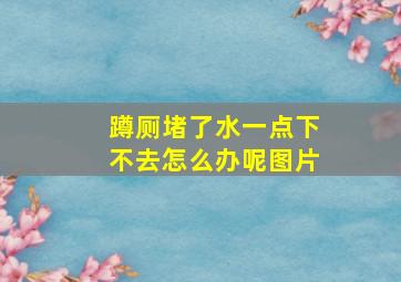 蹲厕堵了水一点下不去怎么办呢图片