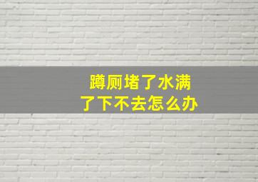 蹲厕堵了水满了下不去怎么办