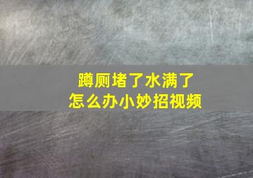 蹲厕堵了水满了怎么办小妙招视频