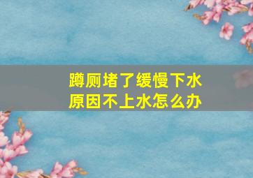 蹲厕堵了缓慢下水原因不上水怎么办