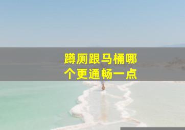 蹲厕跟马桶哪个更通畅一点