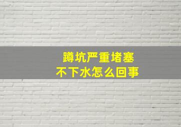 蹲坑严重堵塞不下水怎么回事