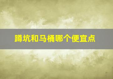 蹲坑和马桶哪个便宜点