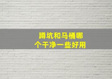 蹲坑和马桶哪个干净一些好用