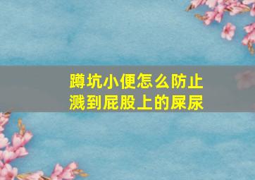 蹲坑小便怎么防止溅到屁股上的屎尿