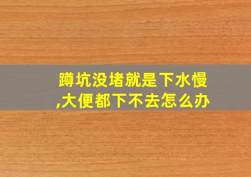 蹲坑没堵就是下水慢,大便都下不去怎么办