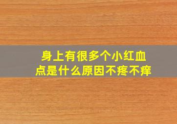 身上有很多个小红血点是什么原因不疼不痒