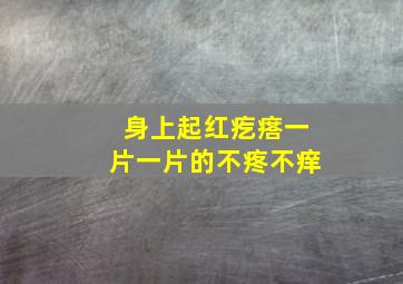 身上起红疙瘩一片一片的不疼不痒