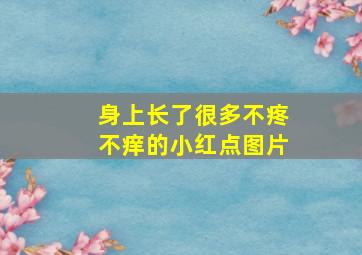 身上长了很多不疼不痒的小红点图片