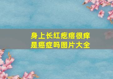 身上长红疙瘩很痒是癌症吗图片大全