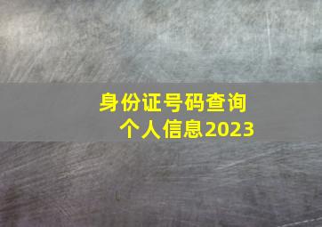 身份证号码查询个人信息2023