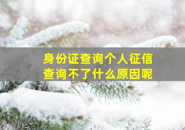 身份证查询个人征信查询不了什么原因呢