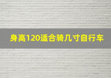 身高120适合骑几寸自行车