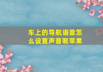 车上的导航语音怎么设置声音呢苹果