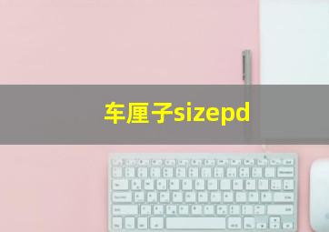 车厘子sizepd