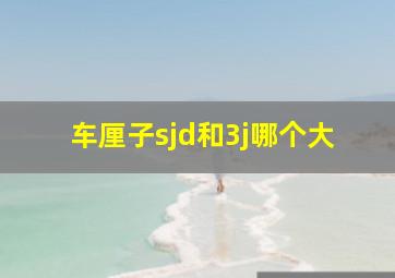 车厘子sjd和3j哪个大