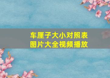 车厘子大小对照表图片大全视频播放