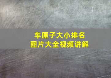 车厘子大小排名图片大全视频讲解