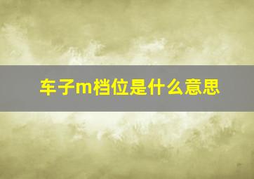 车子m档位是什么意思