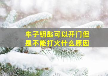 车子钥匙可以开门但是不能打火什么原因