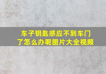 车子钥匙感应不到车门了怎么办呢图片大全视频