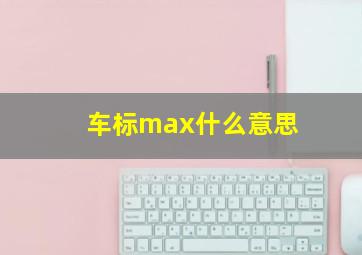 车标max什么意思