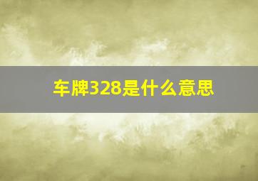 车牌328是什么意思