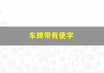 车牌带有使字