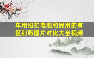 车用纽扣电池和民用的有区别吗图片对比大全视频