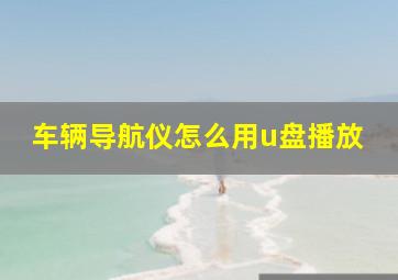 车辆导航仪怎么用u盘播放