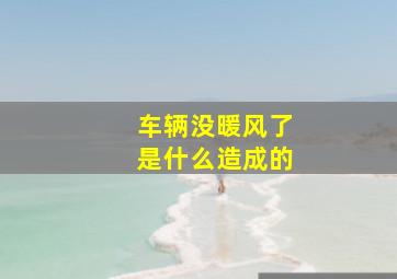 车辆没暖风了是什么造成的