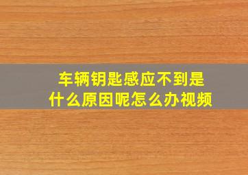 车辆钥匙感应不到是什么原因呢怎么办视频