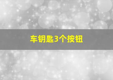 车钥匙3个按钮