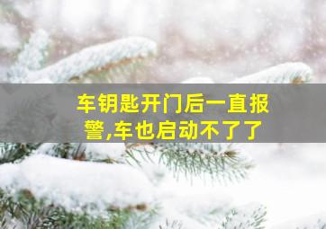 车钥匙开门后一直报警,车也启动不了了