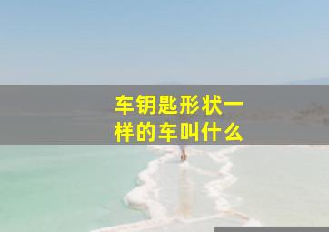 车钥匙形状一样的车叫什么