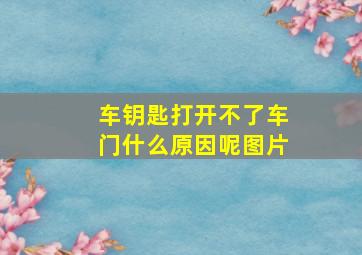 车钥匙打开不了车门什么原因呢图片