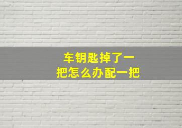 车钥匙掉了一把怎么办配一把