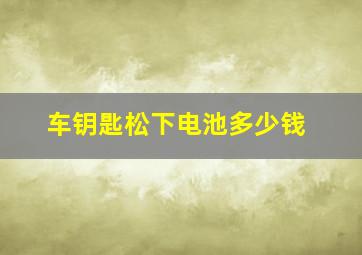 车钥匙松下电池多少钱