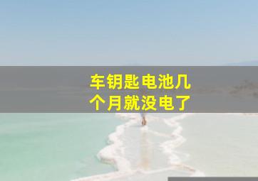 车钥匙电池几个月就没电了