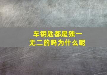 车钥匙都是独一无二的吗为什么呢