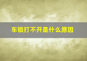 车锁打不开是什么原因