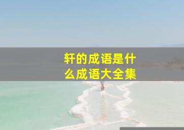 轩的成语是什么成语大全集