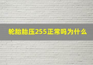 轮胎胎压255正常吗为什么