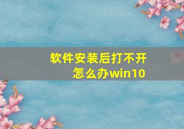 软件安装后打不开怎么办win10