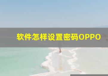 软件怎样设置密码OPPO