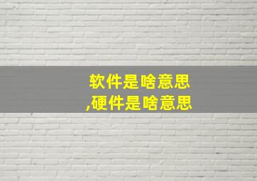 软件是啥意思,硬件是啥意思