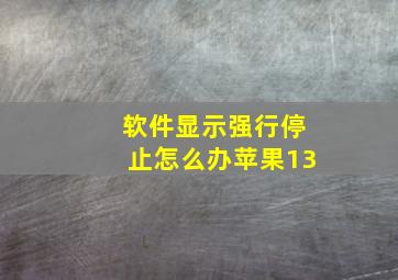 软件显示强行停止怎么办苹果13