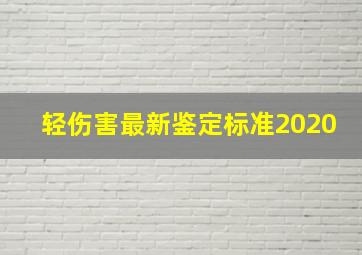 轻伤害最新鉴定标准2020