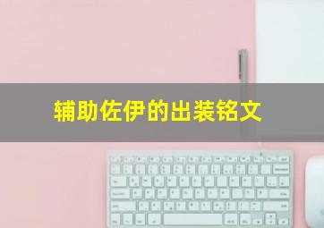 辅助佐伊的出装铭文