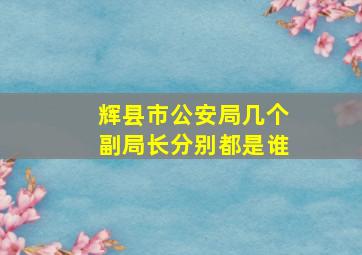 辉县市公安局几个副局长分别都是谁